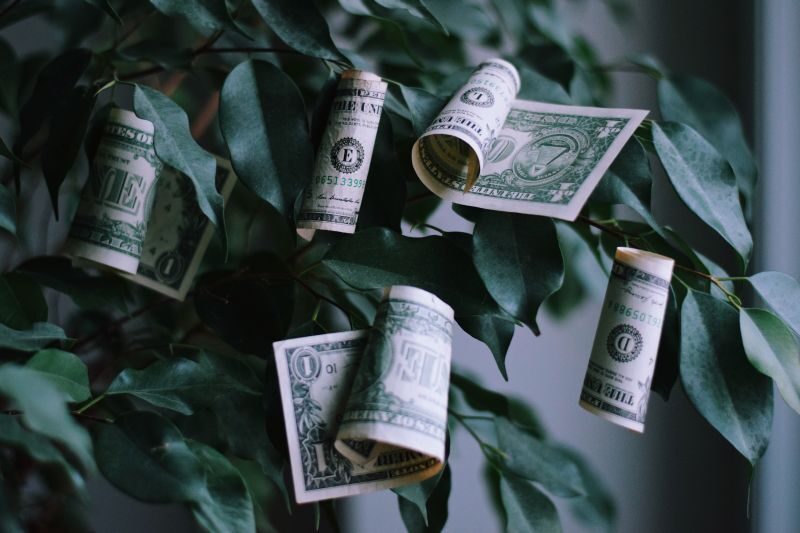 Donations from the Private Sector and Agricultural Associations